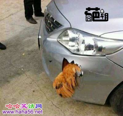 鸡没死，车坏掉了！！！