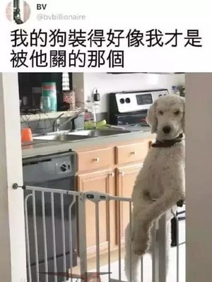 老弟你在里边安生点哦